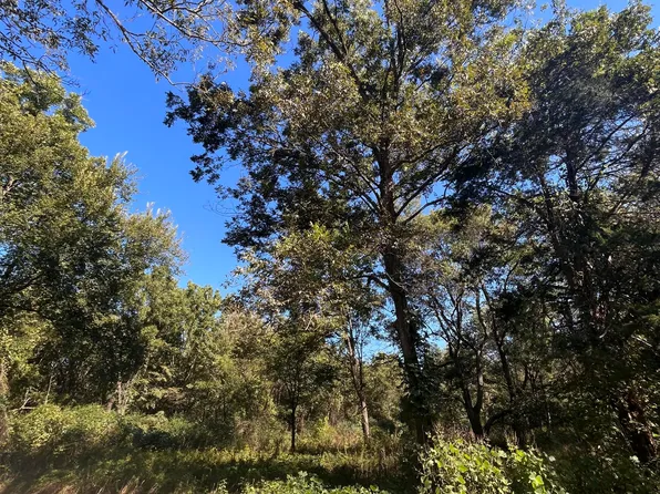 Betty Walton Rd, Como, MS 38619