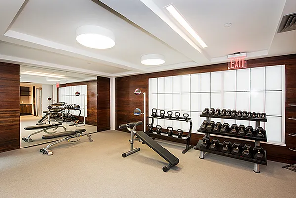 Rented by Bold New York | media 50