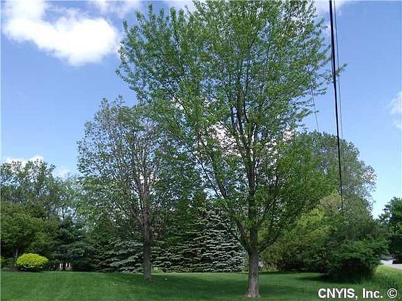 2nd image of 2033 Syosset Dr