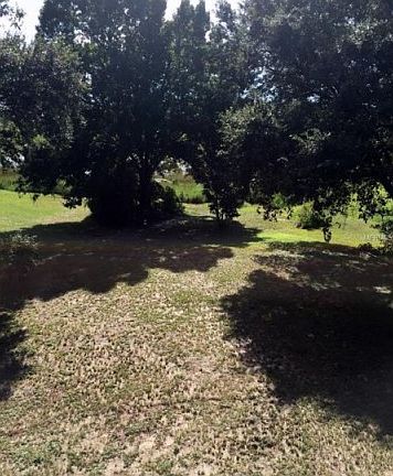 3rd image of 12524 County Road 561a