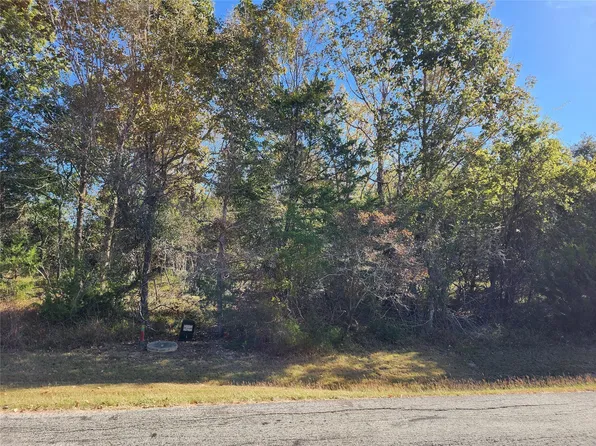 10 N Forest Cove Loop, Coldspring, TX 77331