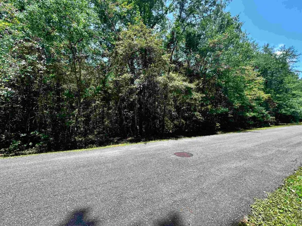 0 Settlers Trl, Woodbine, GA 31569