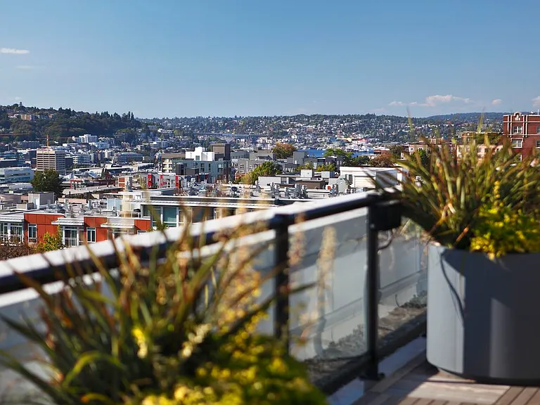Views from Rooftop Terrace