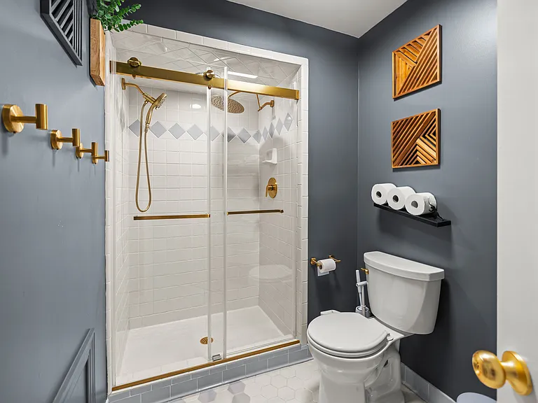 Master bath shower and toilet