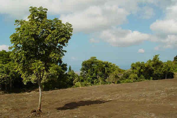 2nd image of Hina Lani St Lot 37