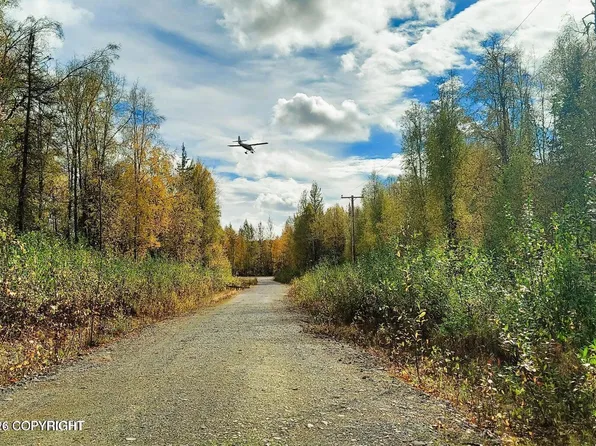 L1 S Clara Cir, Talkeetna, AK 99676