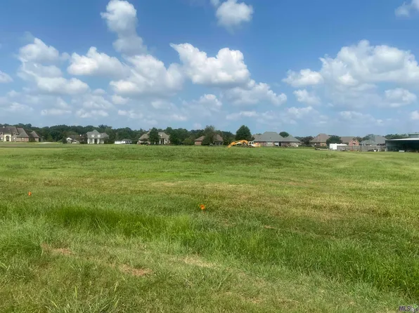 LOT 24 Buddy Gore Rd Lot 24, Gonzales, LA 70737
