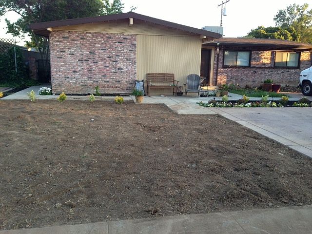 Front yard