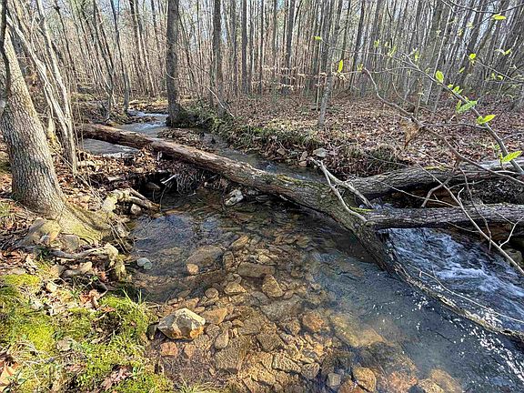 2nd image of 701 Choccolocco Rd