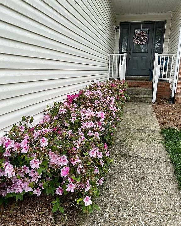 2nd image of 220 Holly Ln