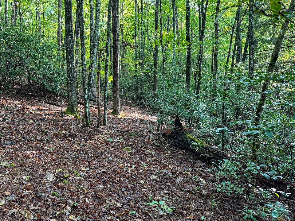 2nd image of 0 Tall Tree Trl #412