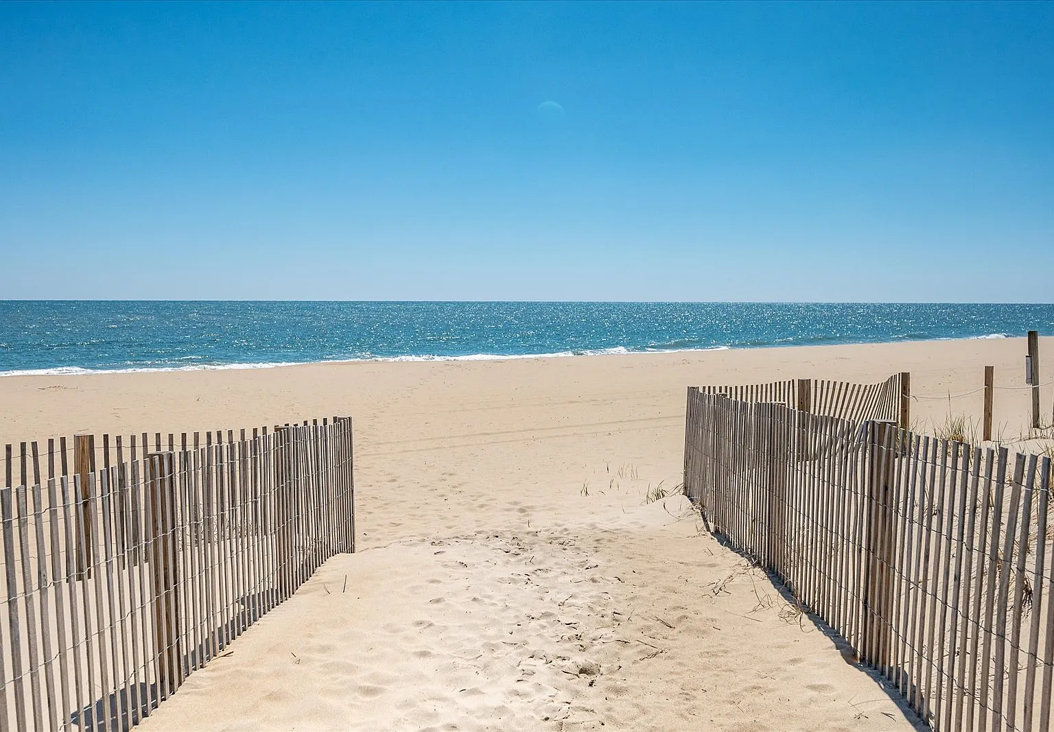 1 bed, $1,200 — Photo 2