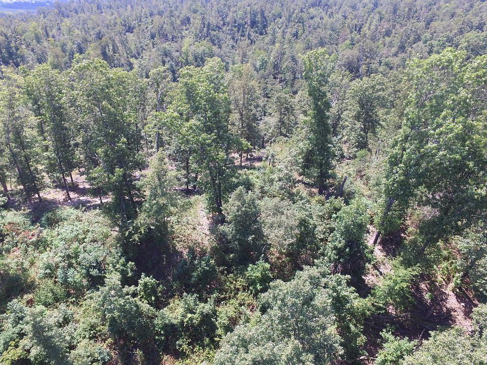 2nd image of 68 Old Highway 68