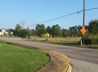 13346 Pendarvis Ln, Walker, LA 70785