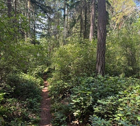 2nd image of 0 Fowler Park