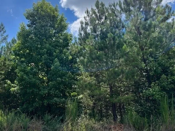 4711 Grandview Pkwy, Flowery Branch, GA 30542