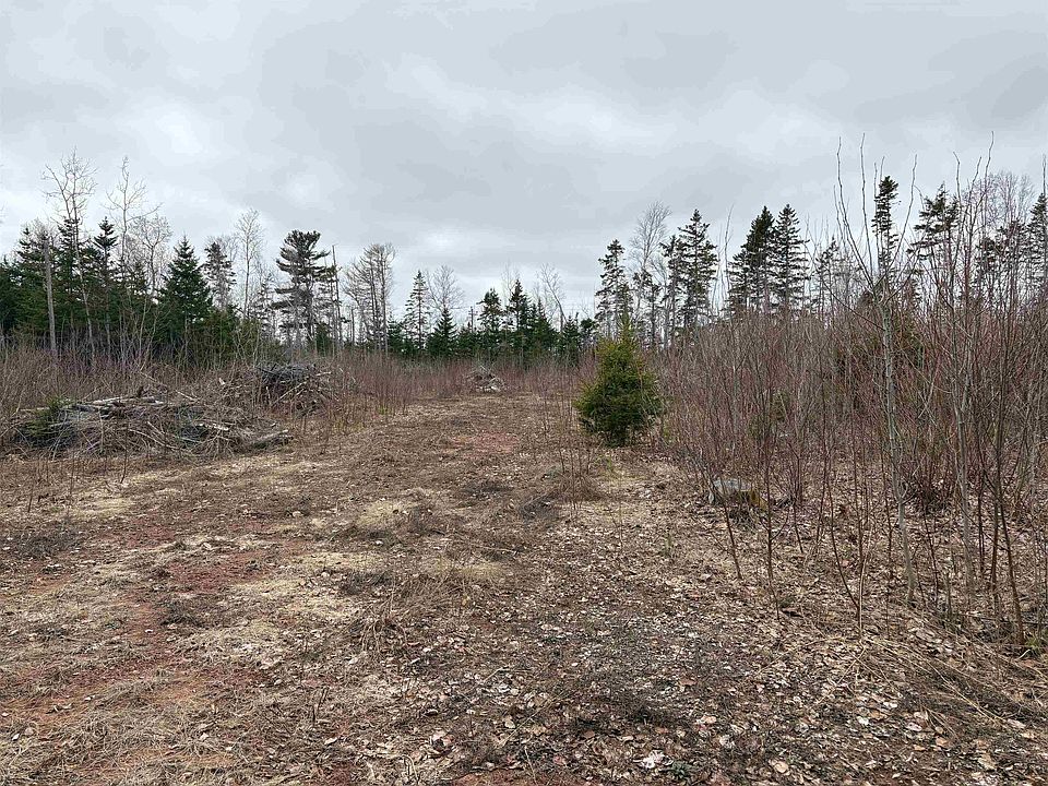 2nd image of LOT Louis Rd