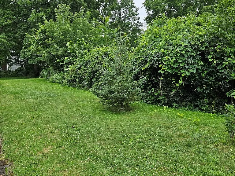 80 David Ave — Photo 27