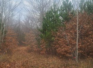 1 Pontius Rd, Kalkaska, MI 49646