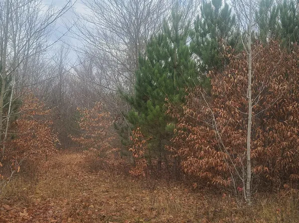 0 Pontius Rd SE, Kalkaska, MI 49646