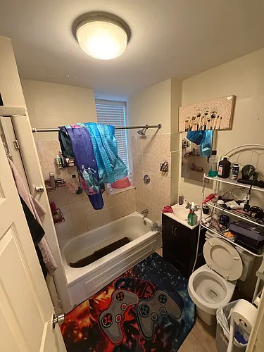 222 Amory St Photo 1