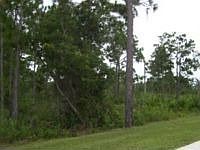 2nd image of 5421 Lake Haven Blvd
