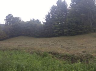 Buck Mountain Rd, Roan Mnt, TN 37687