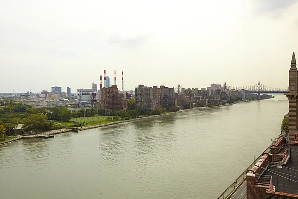 Sold by Stribling | media 9