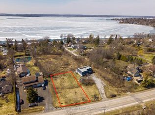 296 Metro Rd N, Georgina, ON L4P1C3