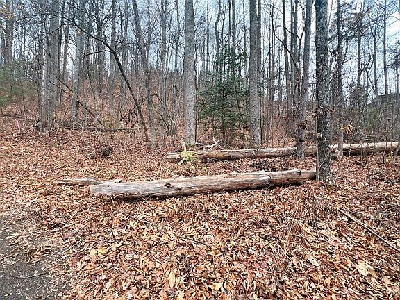 2nd image of 10 Shagbark Hickory Rdg Lot 10