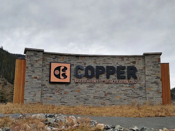 88 Guller Rd #403, Frisco, CO 80443