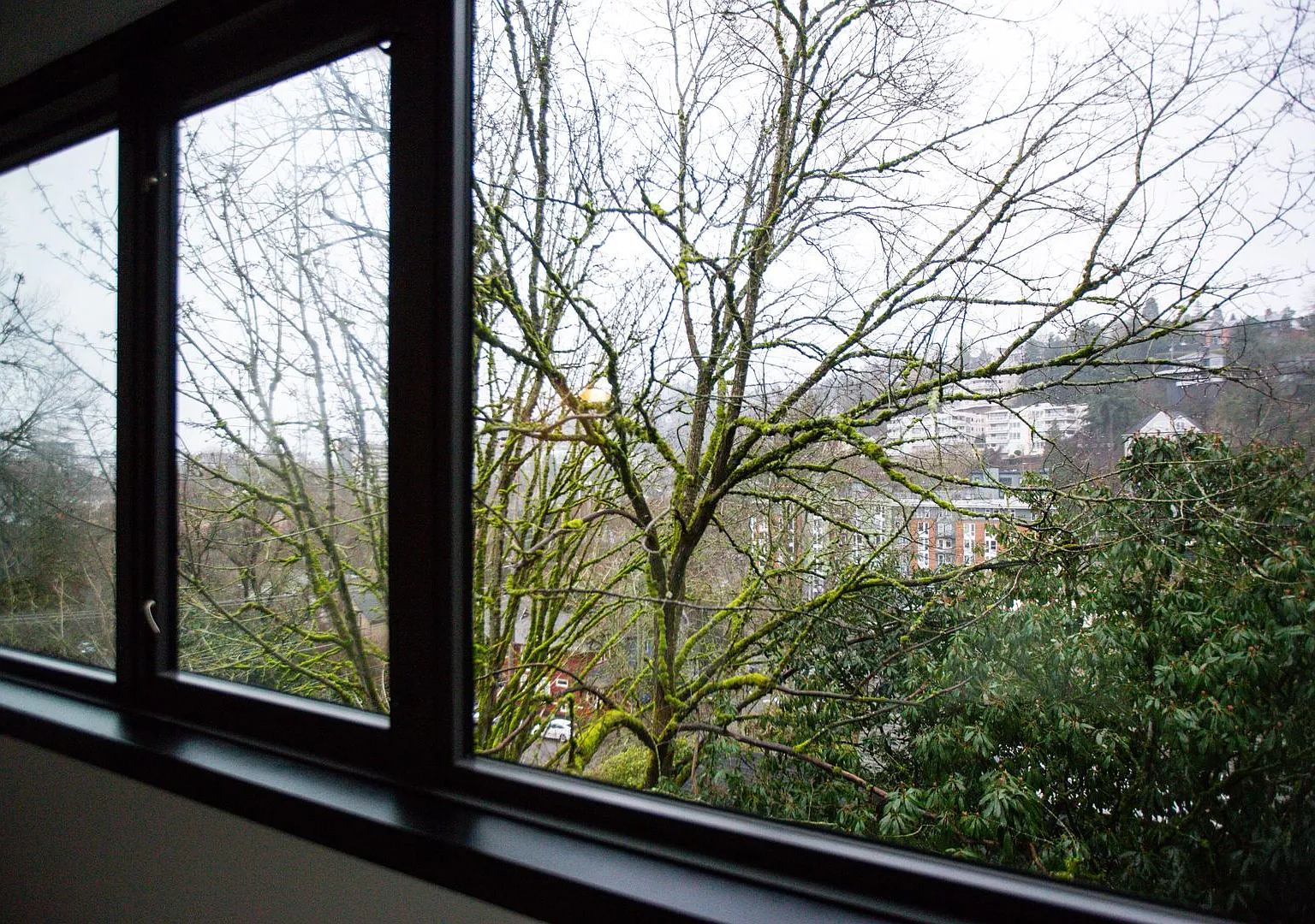 Goose Hollow 1 Bedroom Available Now ! — Photo 3