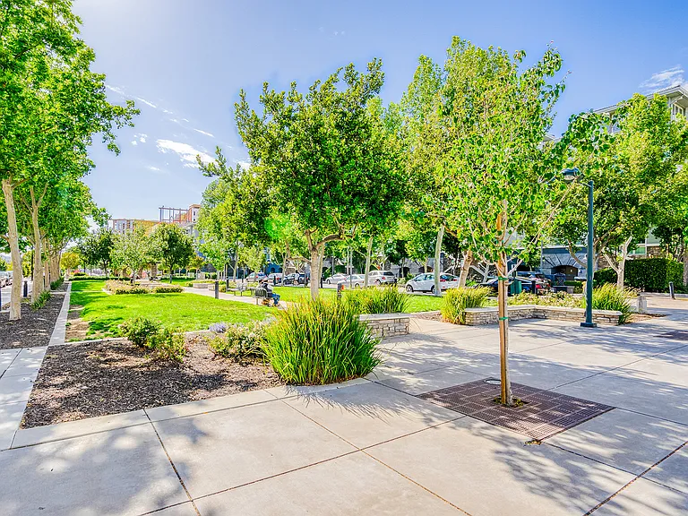 Small park and greenery area across the way