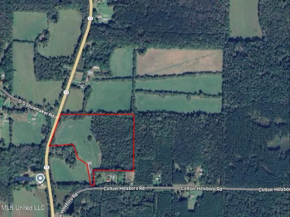 206 Clifton Hillsboro Rd, Lena, MS 39094