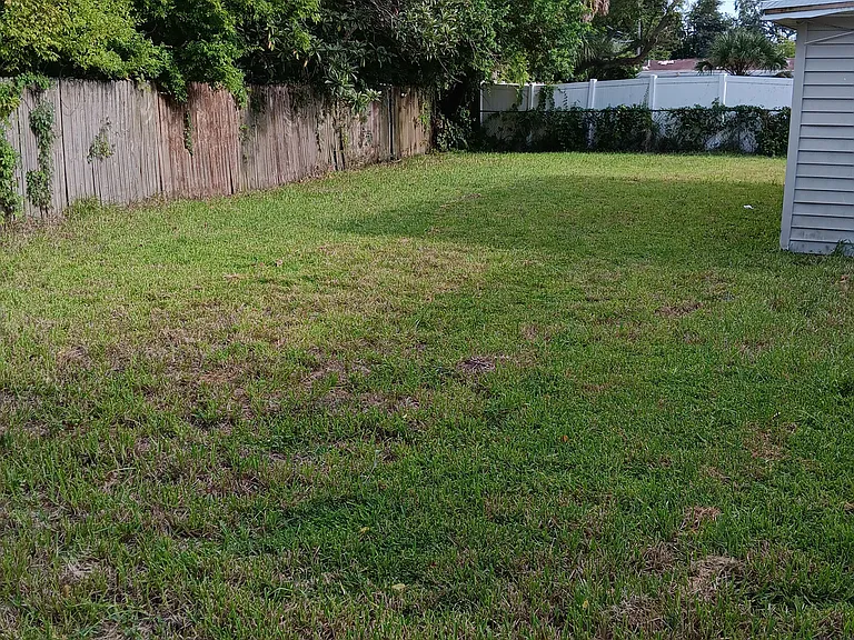 Backyard Bliss