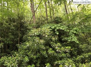 Tbd Gumtree Rd, Beech Mountain, NC 28604