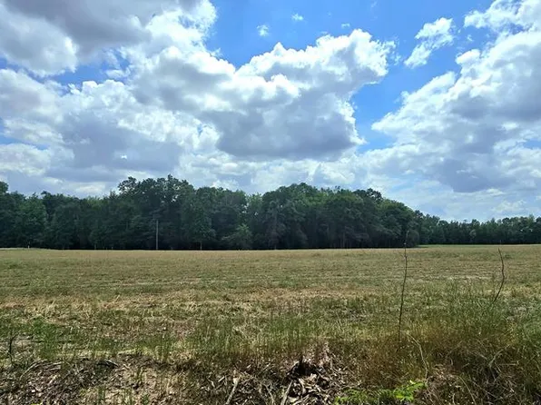 Grady Garner Rd, Slocomb, AL 36375