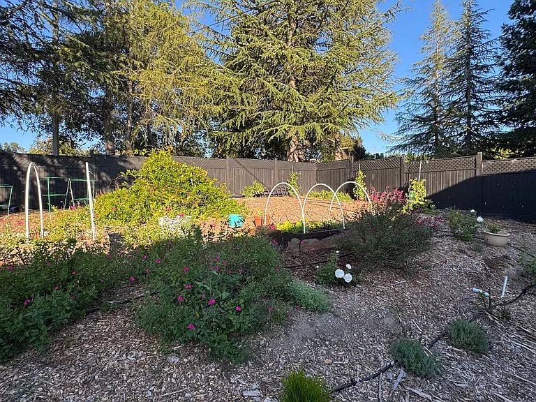 Germone Rd — Photo 22