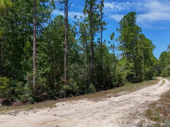 Joe Dugger Rd, Freeport, FL 32439