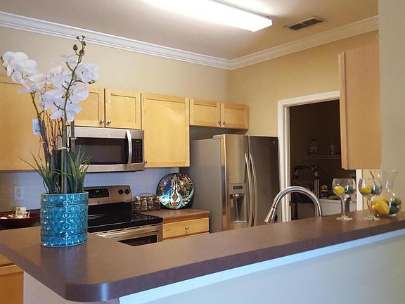 4th image of 6461 Borasco Dr APT 3801