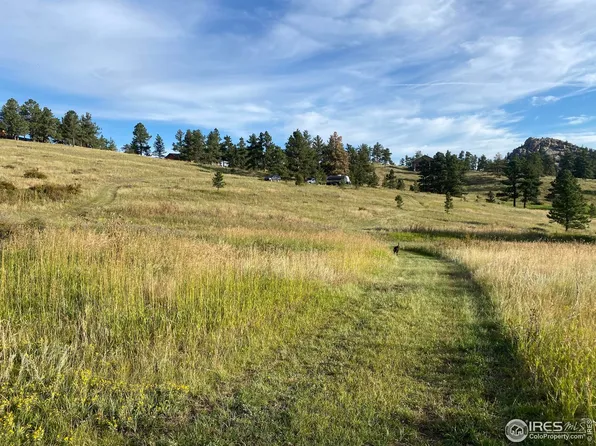 78 Mount Champion Dr, Livermore, CO 80536