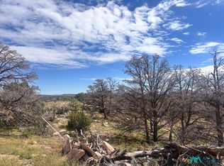 95 Abbe Spgs, Magdalena, NM 87825