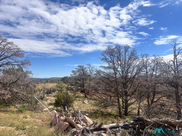 95 Abbe Spgs, Magdalena, NM 87825