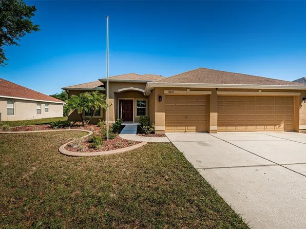 16815 Crested Angus Ln, Spring Hill, FL 34610