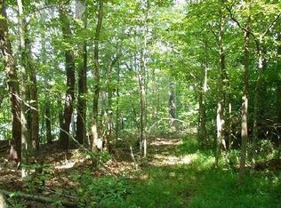 Doublehead Gap Rd, Ellijay, GA 30536