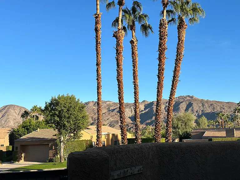 49073 Mariposa Dr — Photo 46