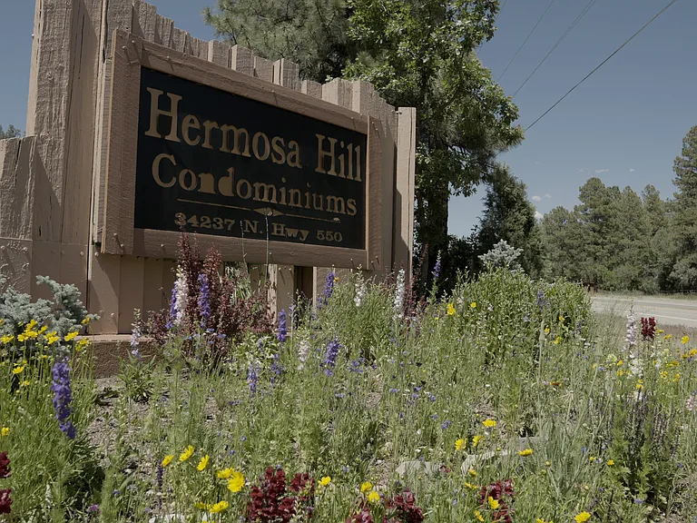 34237 N Highway 550 Hwy #18 — Photo 20