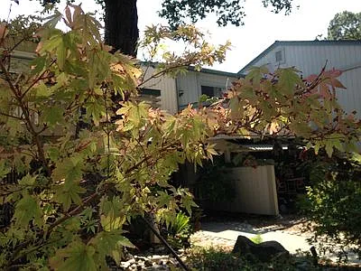 Live Oak Apartments — Photo 106