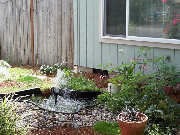 welcoming fish pond