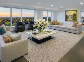 THE 555 LUXURY RESIDENTIAL APARTMENTS
